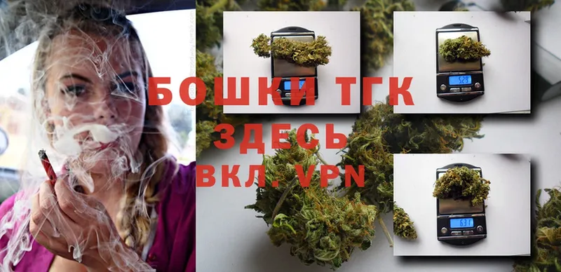 Бошки Шишки THC 21%  купить закладку  Берёзовский 